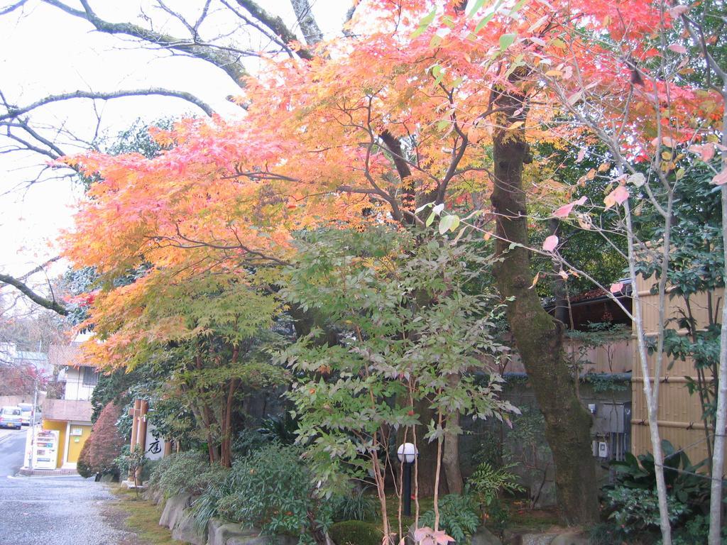 Hotel Gyokutei à Hakone Extérieur photo